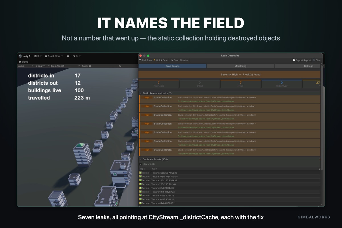 Leak Detective naming the leaking field